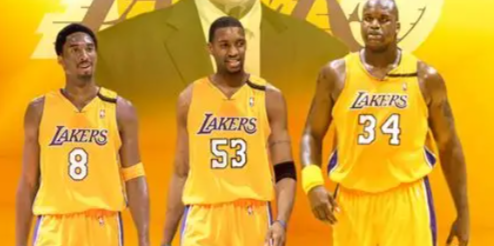 开云体育入口-如果麦蒂替科比去搭档鲨鱼？